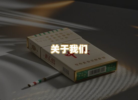 关于我们